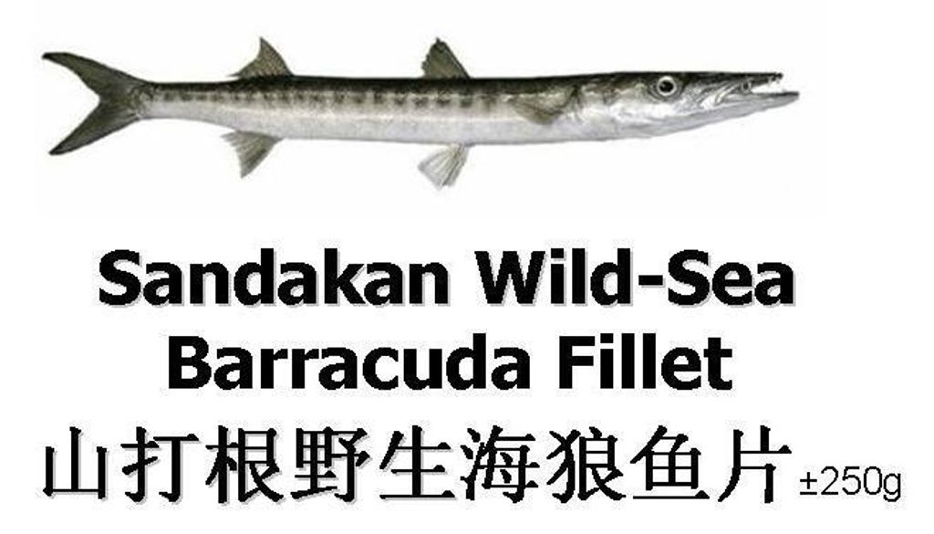 Barracuda Fillet