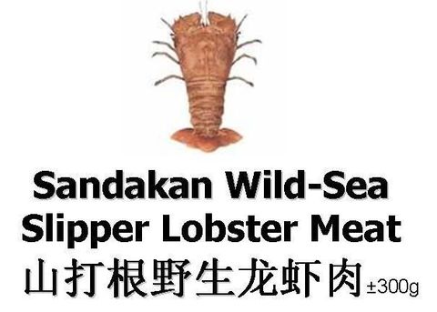 Slipper Lobster Meat