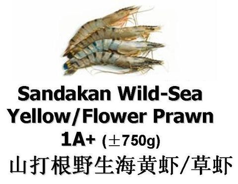 Yellow Flower Prawn 1A+ 750g