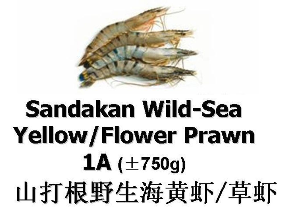 Yellow Flower Prawn 1A 750g