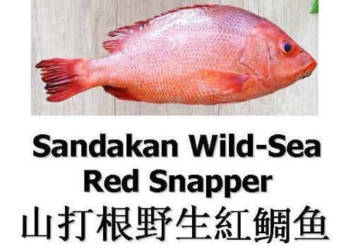 Red Snapper-s