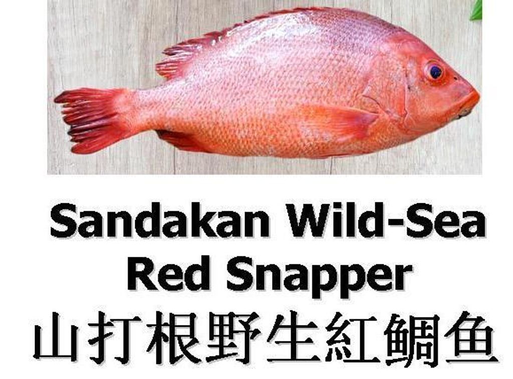 Red Snapper-s