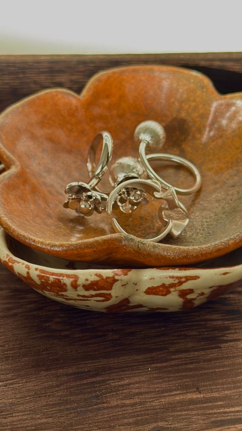 image_D6B59C27-E6C4-431D-AAA6-D62B0642A56F_1775241870