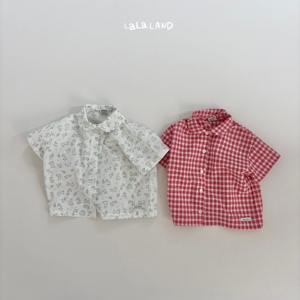 image_B409E08A-307F-47EF-B65F-A695F9DE50EA_1775544441