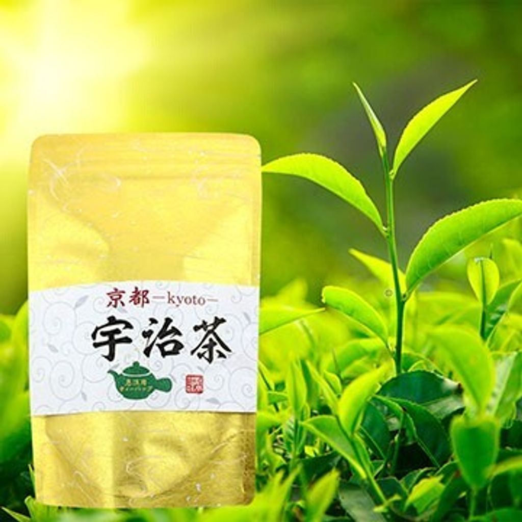 宇治煎茶茶包80g