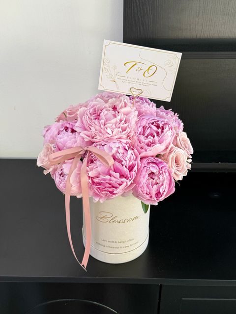 image_9F0FC061-13FE-4809-9C58-8DE98AF53F2A_1777382829