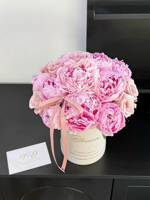 image_F81AA47A-1253-4C84-81CC-20B072EE9360_1777382829