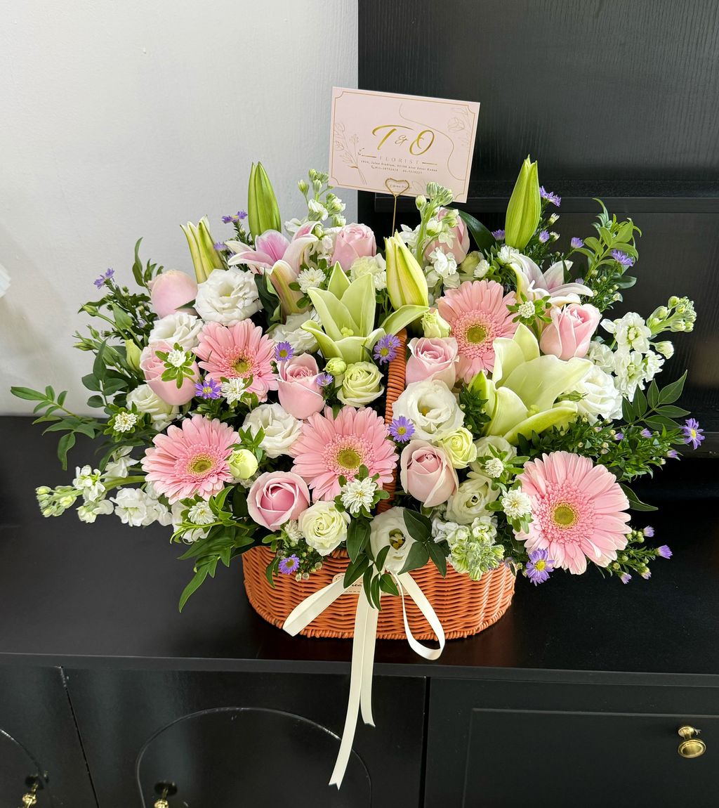 image_385AC624-D735-4817-A9E2-13935B790961_1777382956