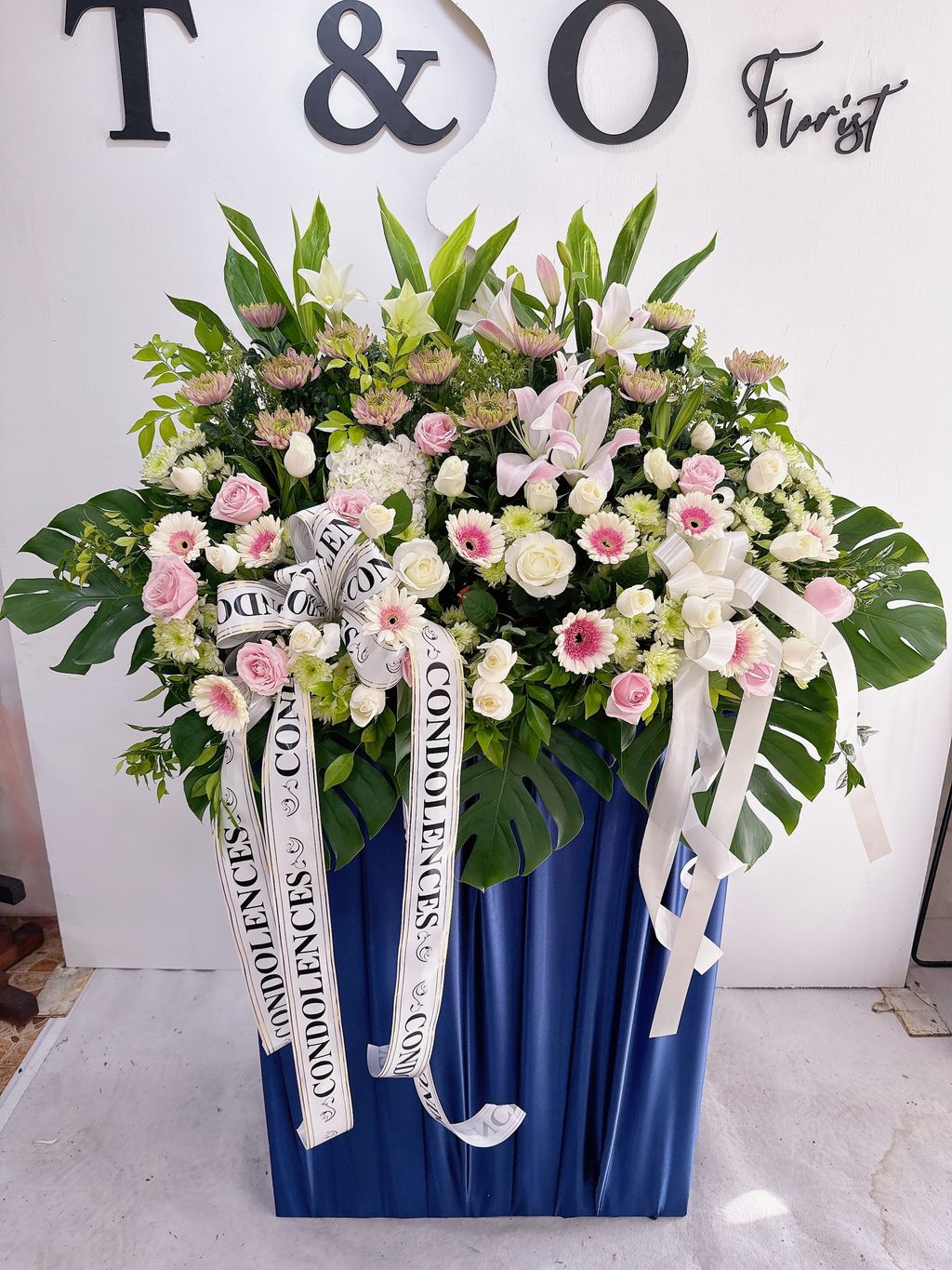 IMG_1364-1730739097207