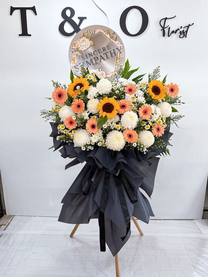 image_1810468A-E0BD-43F4-8E32-297DDEDF57EB_1741340086