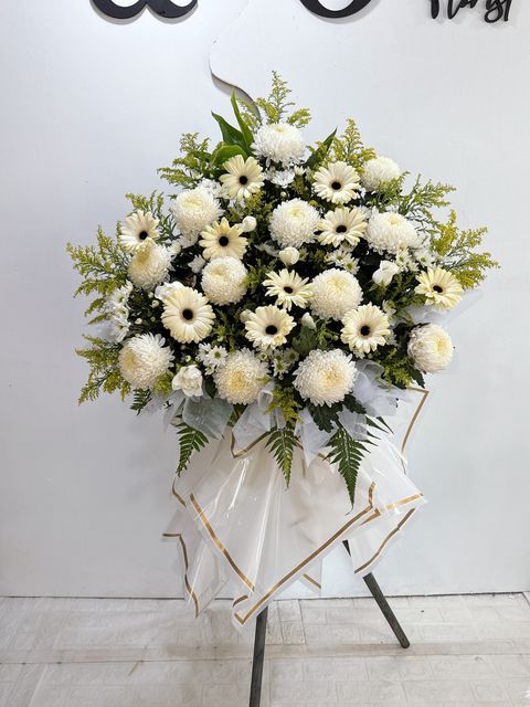 image_0D029F80-42CA-45E4-B8A6-AE985A378D9E_1758622797