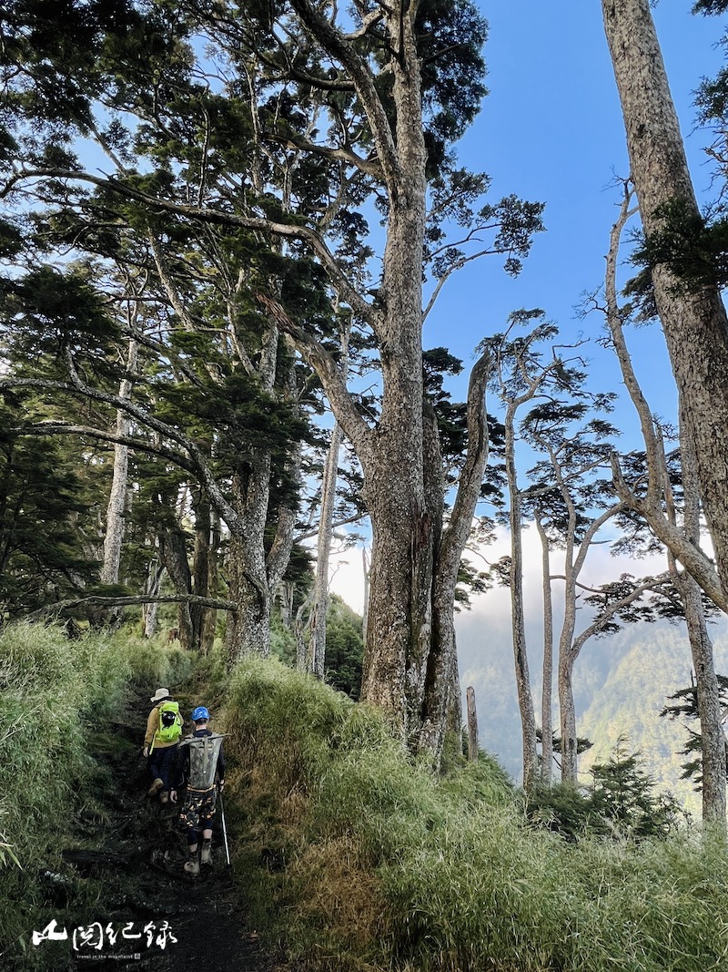 南橫三星 - 塔關山3