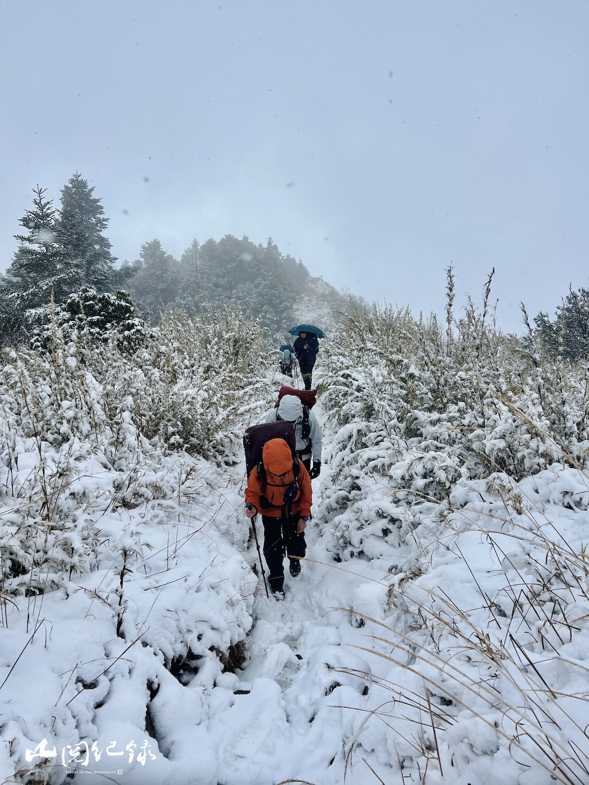 雪山主東-雪季02