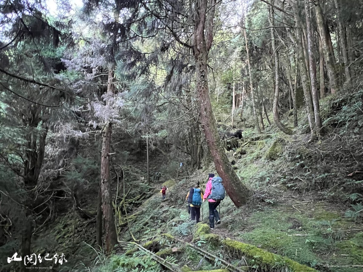 LINE_ALBUM_阿溪縱走（蓓蓓拍）_260103_1