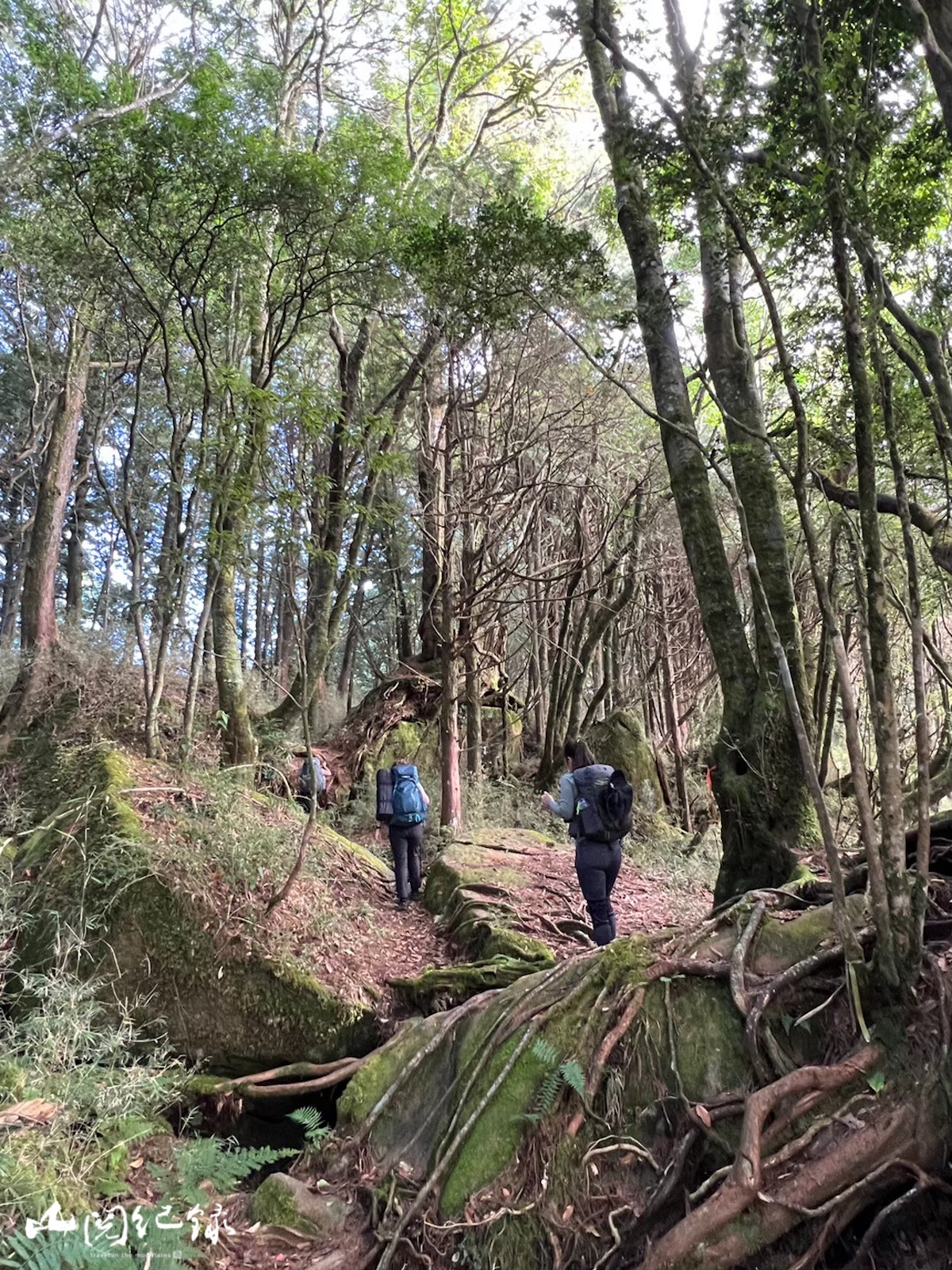 LINE_ALBUM_阿溪縱走（蓓蓓拍）_260103_2