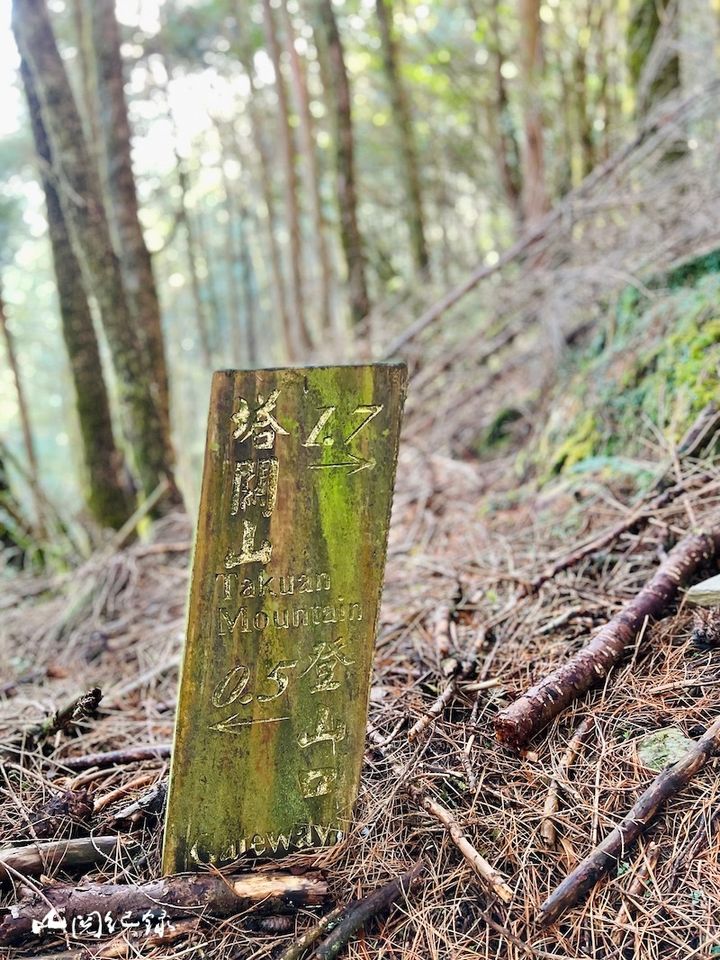 南橫三星 - 塔關山1