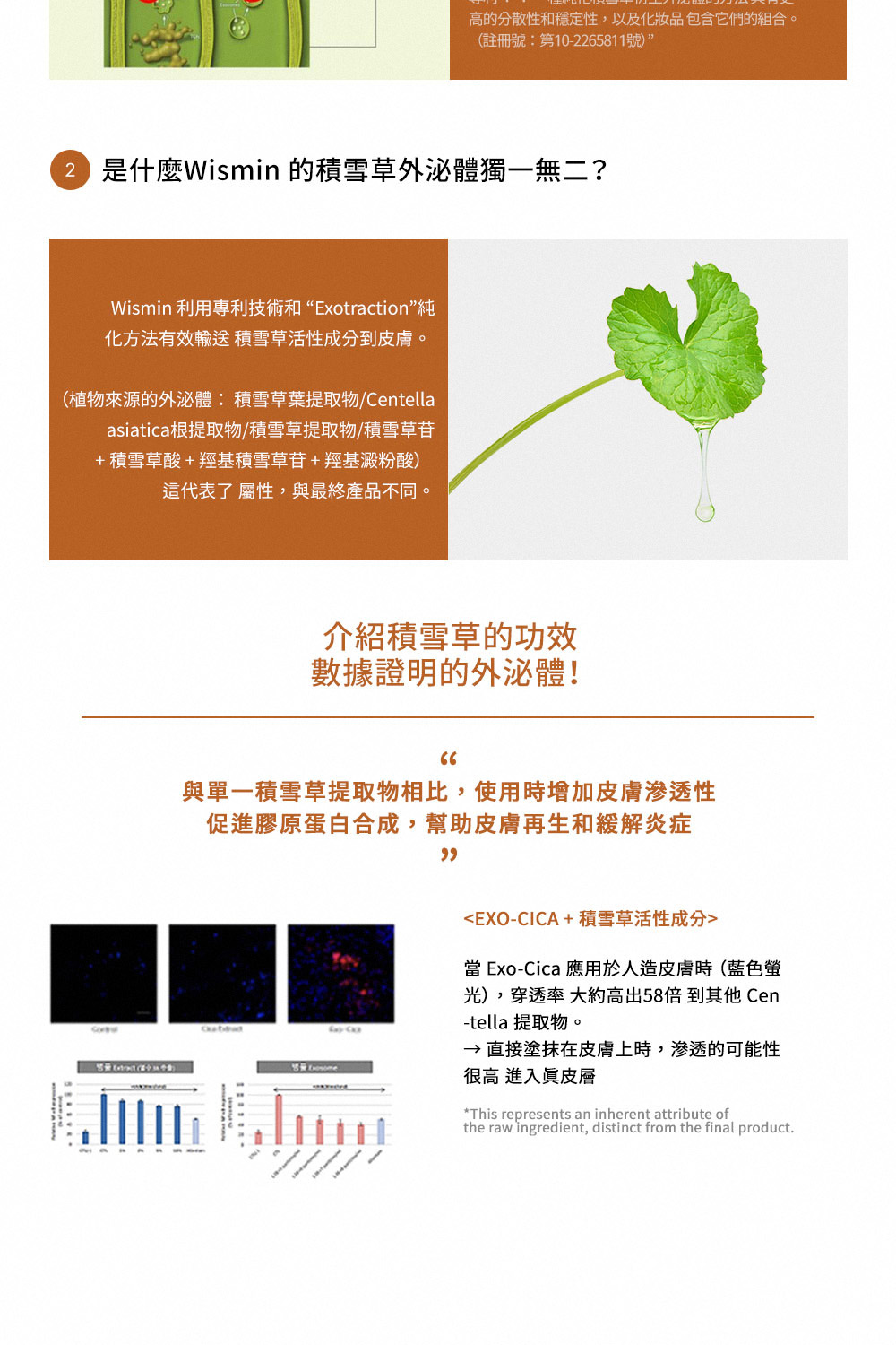 Ampoule-2_中文_04