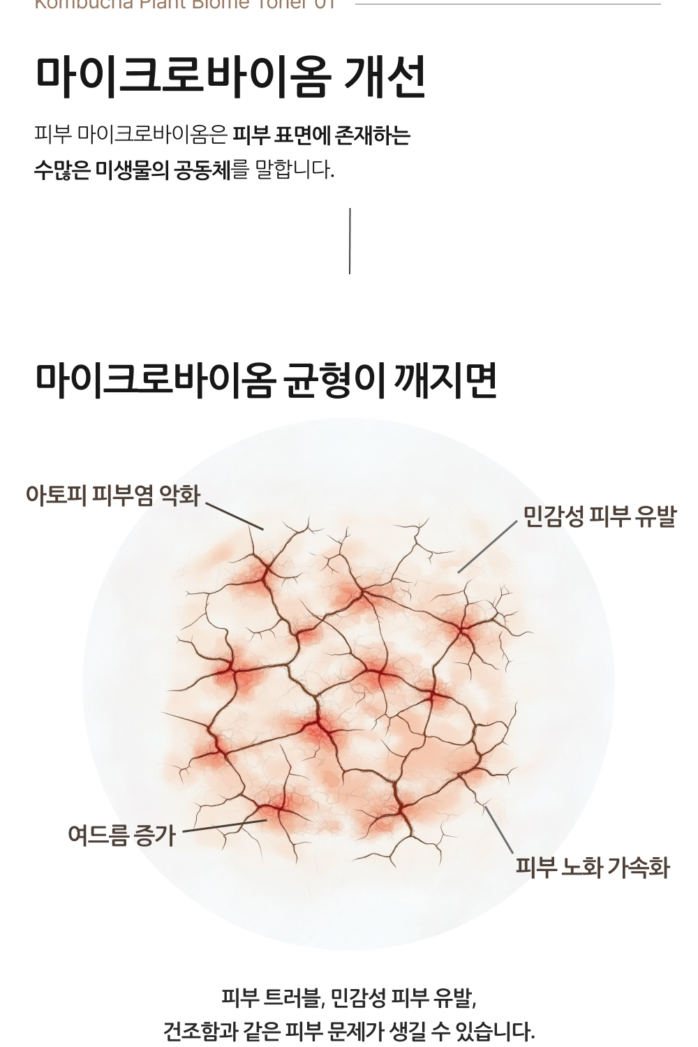 Herbloom_Toner_NEW_03_02