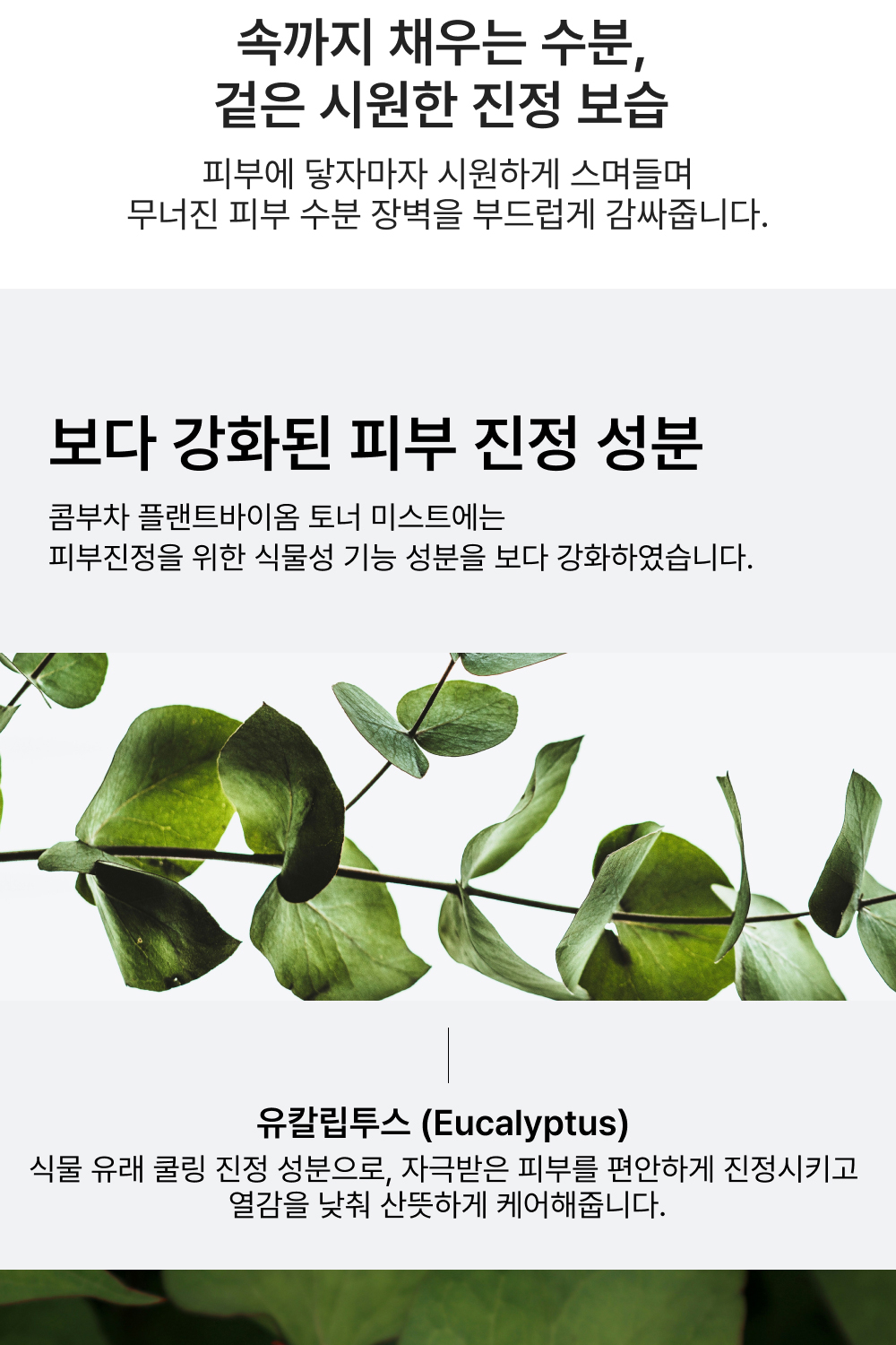 Herbloom_Toner_NEW_04_02