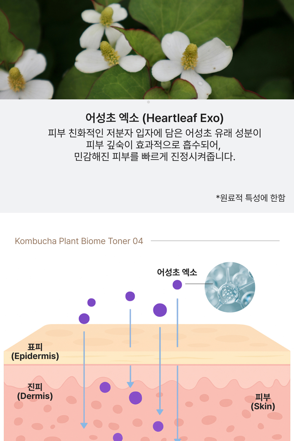 Herbloom_Toner_NEW_04_03