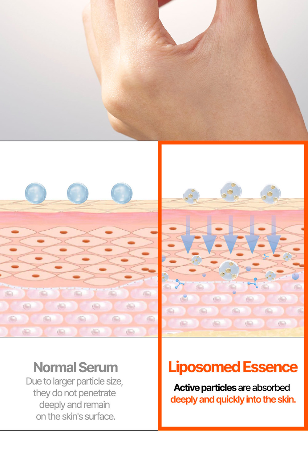 description_bouncy_en_11_02