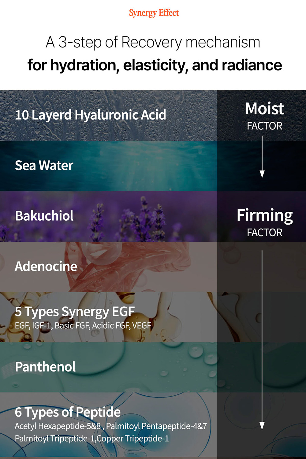 description_bouncy_en_13_02