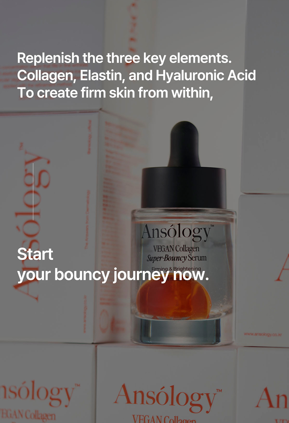 description_bouncy_EN_02_04