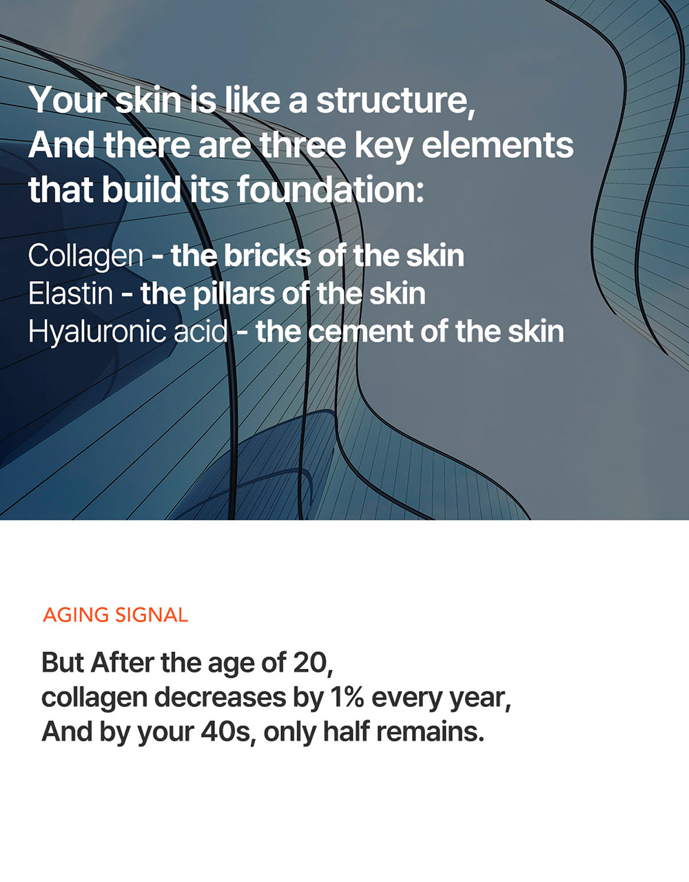 description_bouncy_EN_02_01