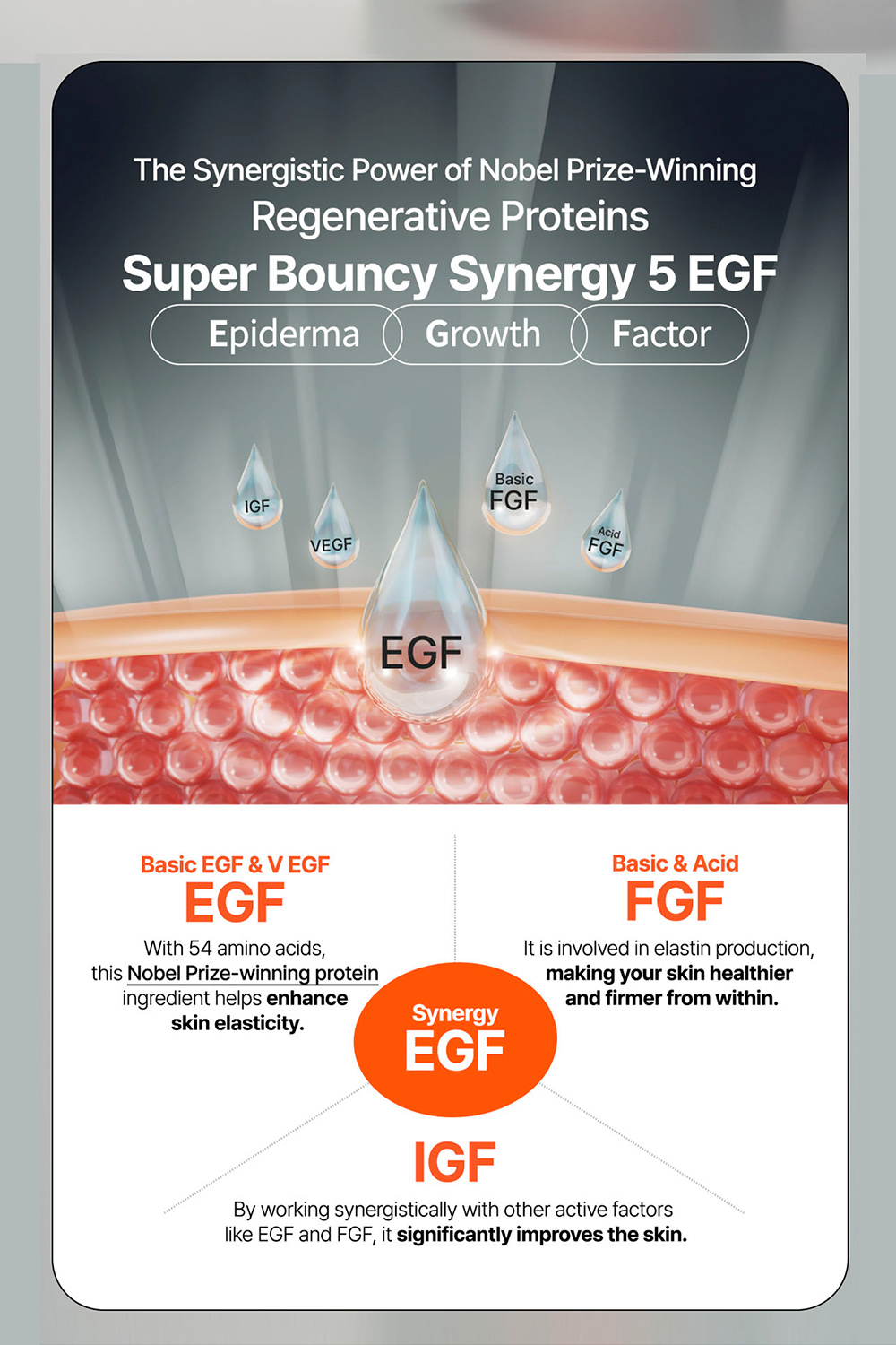 description_bouncy_en_07_03