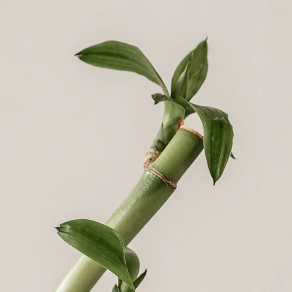 messageImage_1694519644102_0