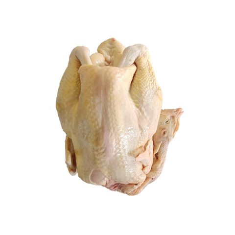 VMS-MacaoFarmChicken-001