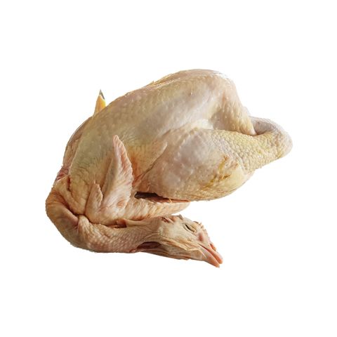 VMS-MacaoChickenFarm-006