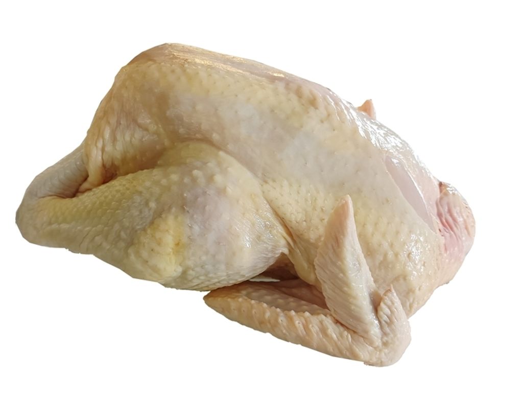 VMS-MacaoFarmChicken-002