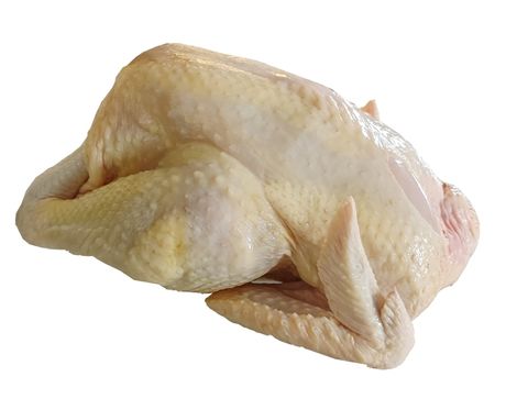 VMS-MacaoFarmChicken-002