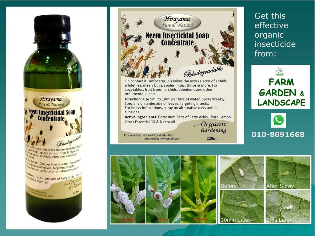 Hirayama Neem Insecticidal Soap