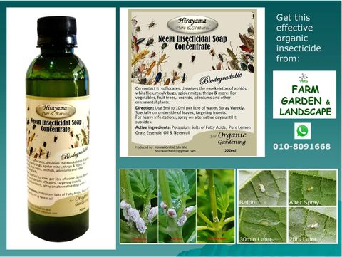 Hirayama Neem Insecticidal Soap