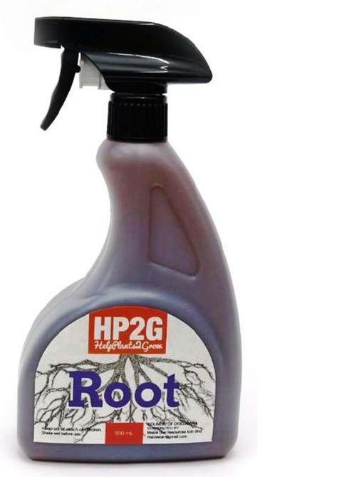 HP2G Root
