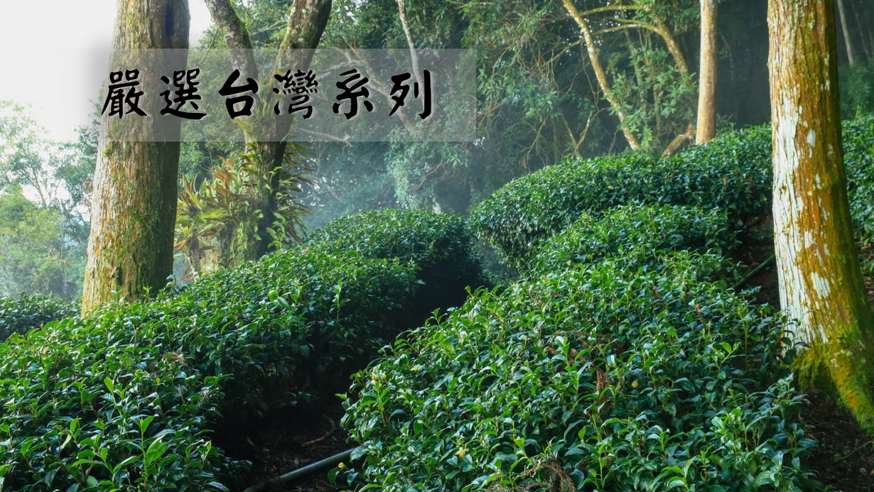 001_ 的副本_vivipic