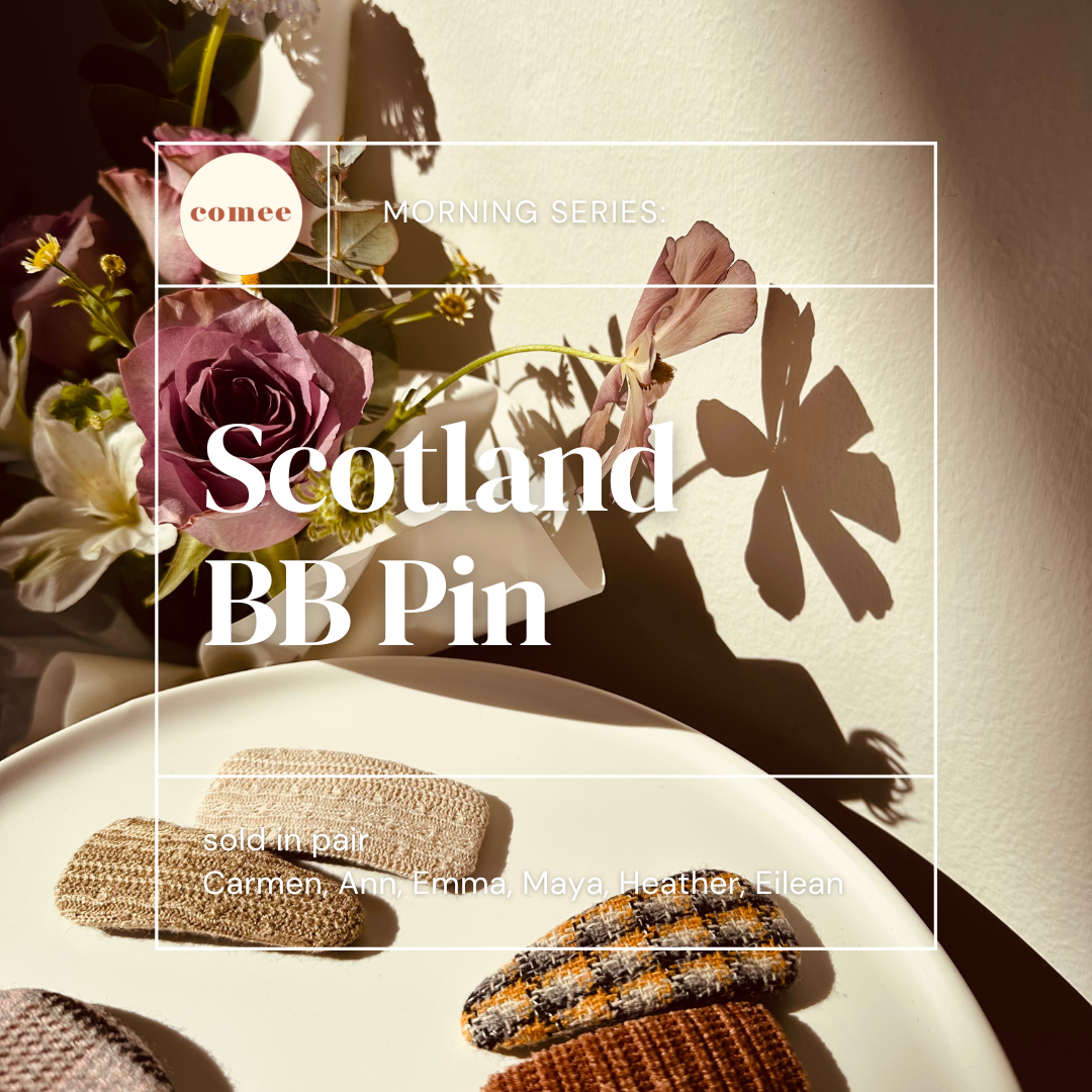 Scotland BB Pin