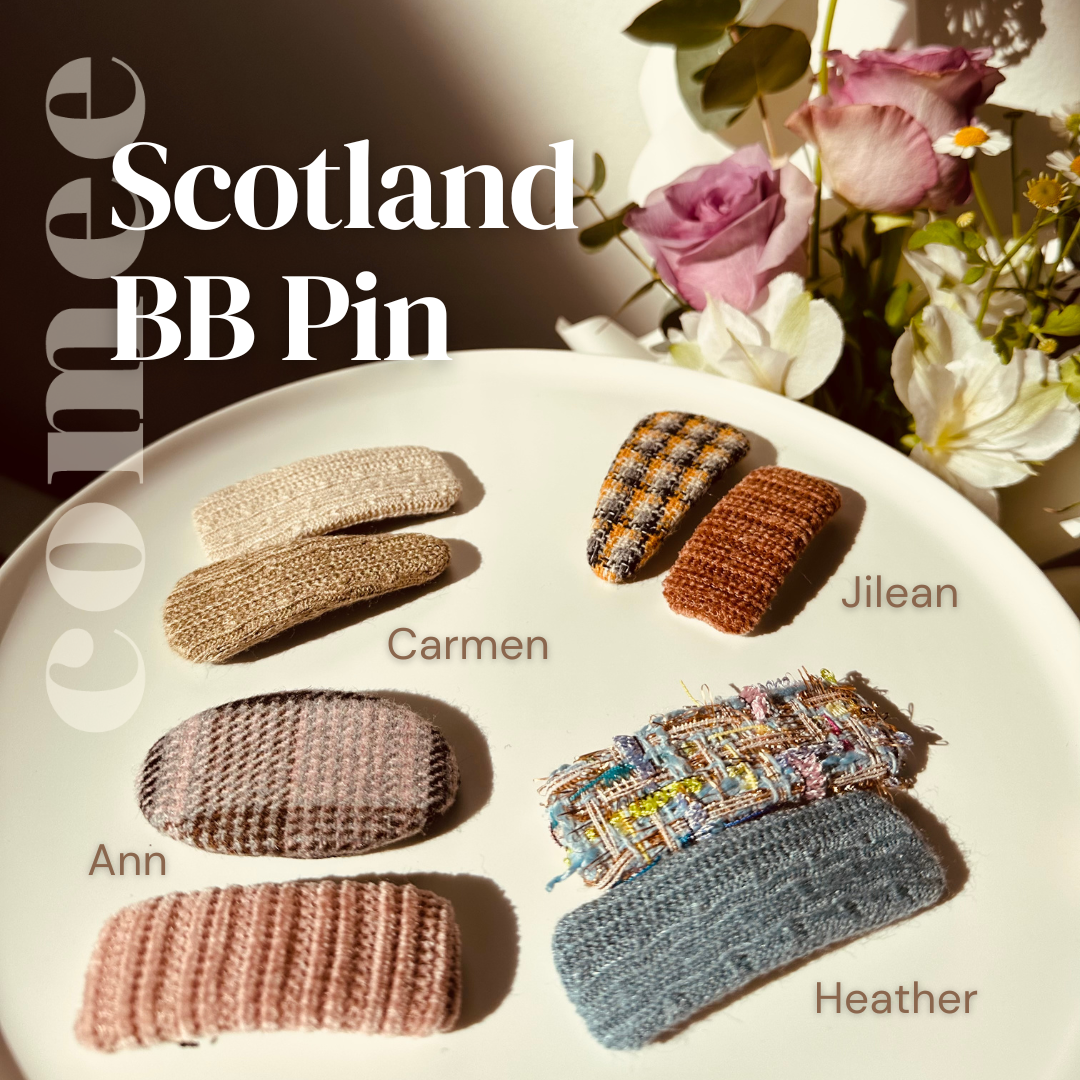 Scotland BB Pin (3)