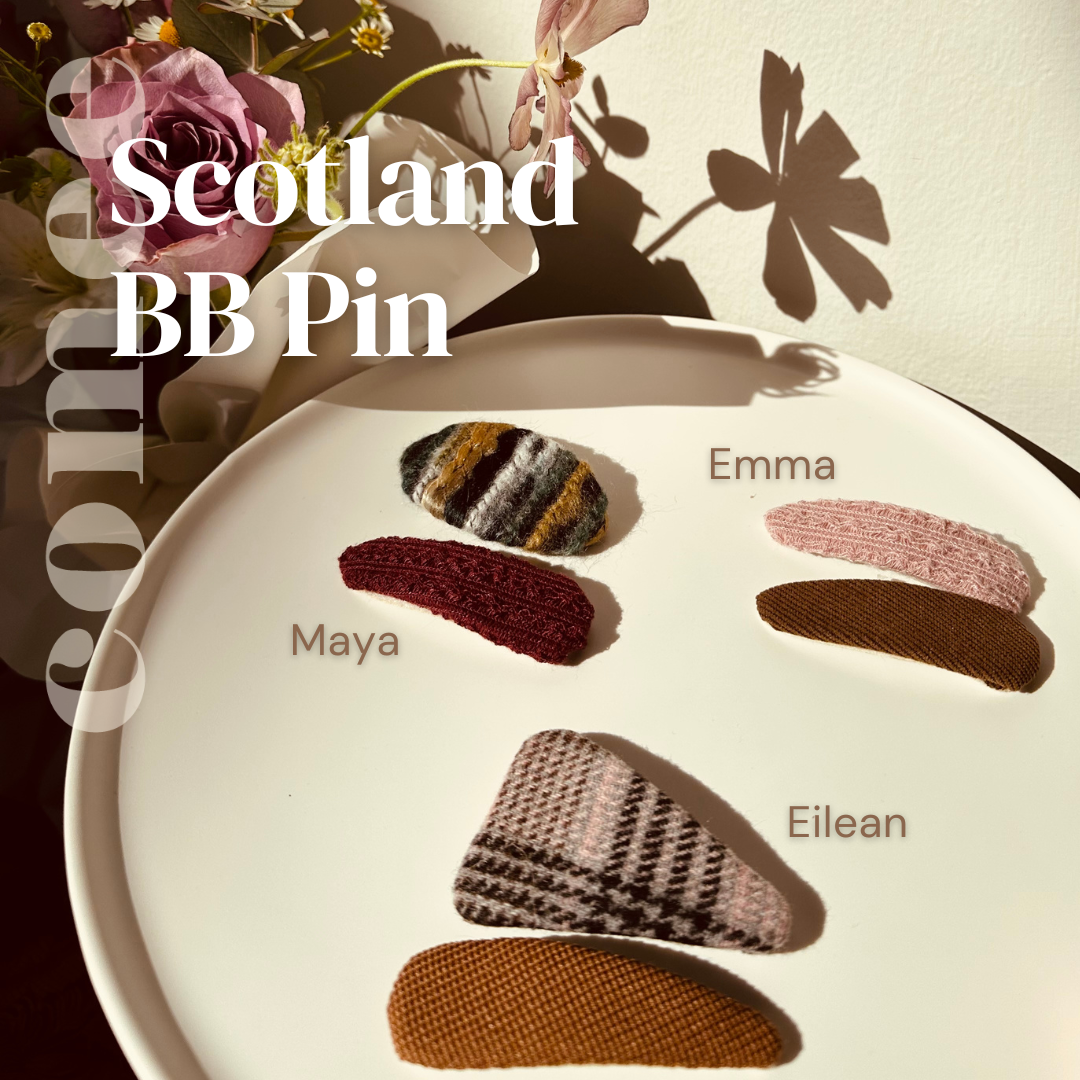 Scotland BB Pin (2)