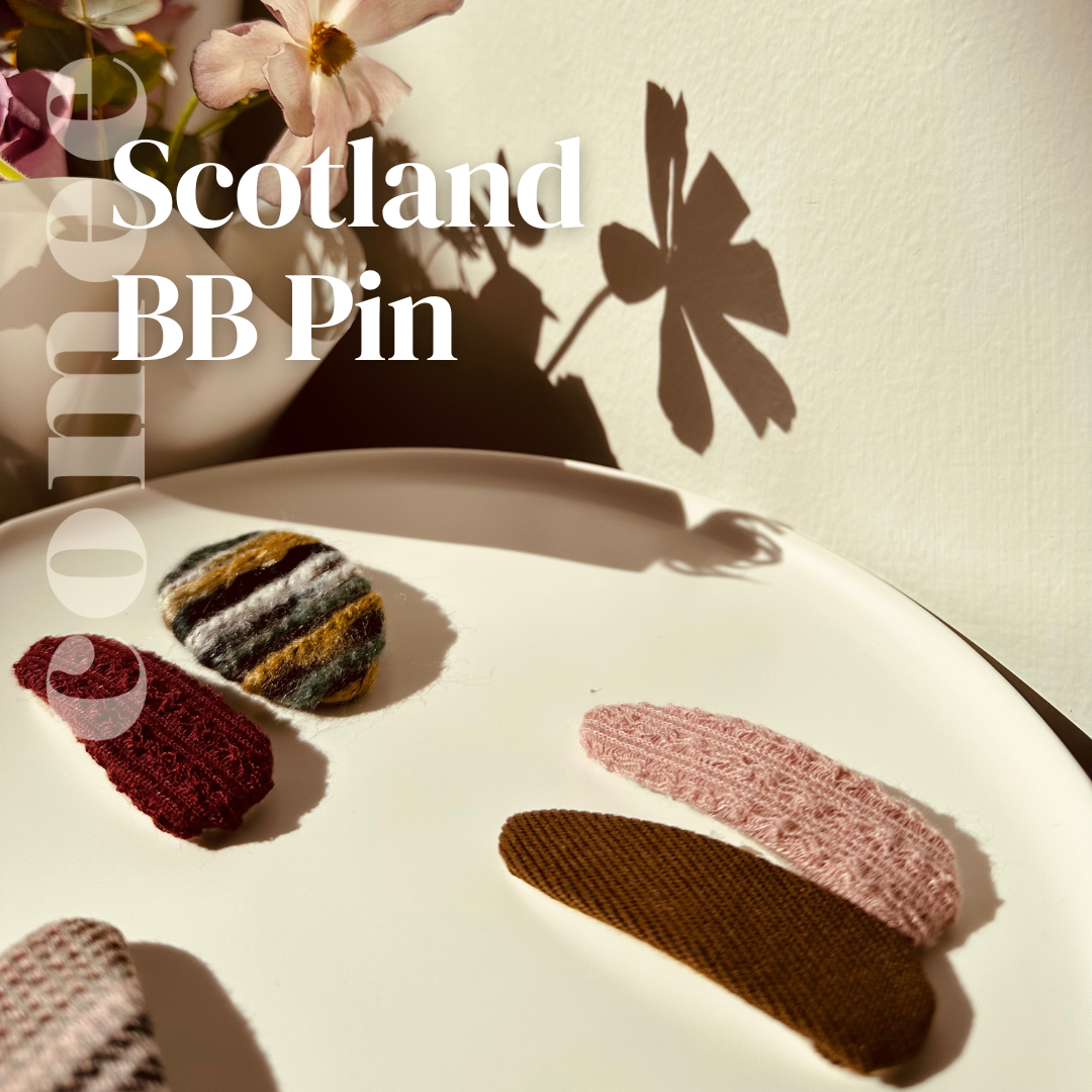 Scotland BB Pin (4)