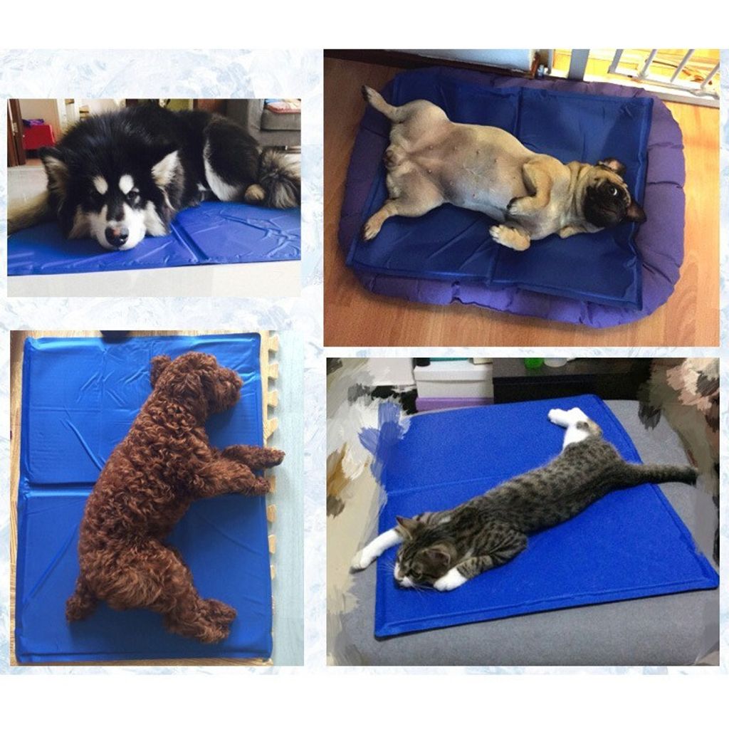 b9f18704b8871e0398b5f555f1e76ff7