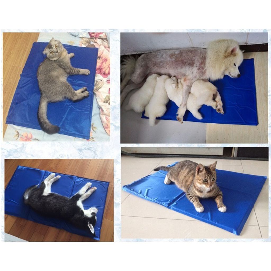 7581988abb6833bbf25dc059cb3c0b25