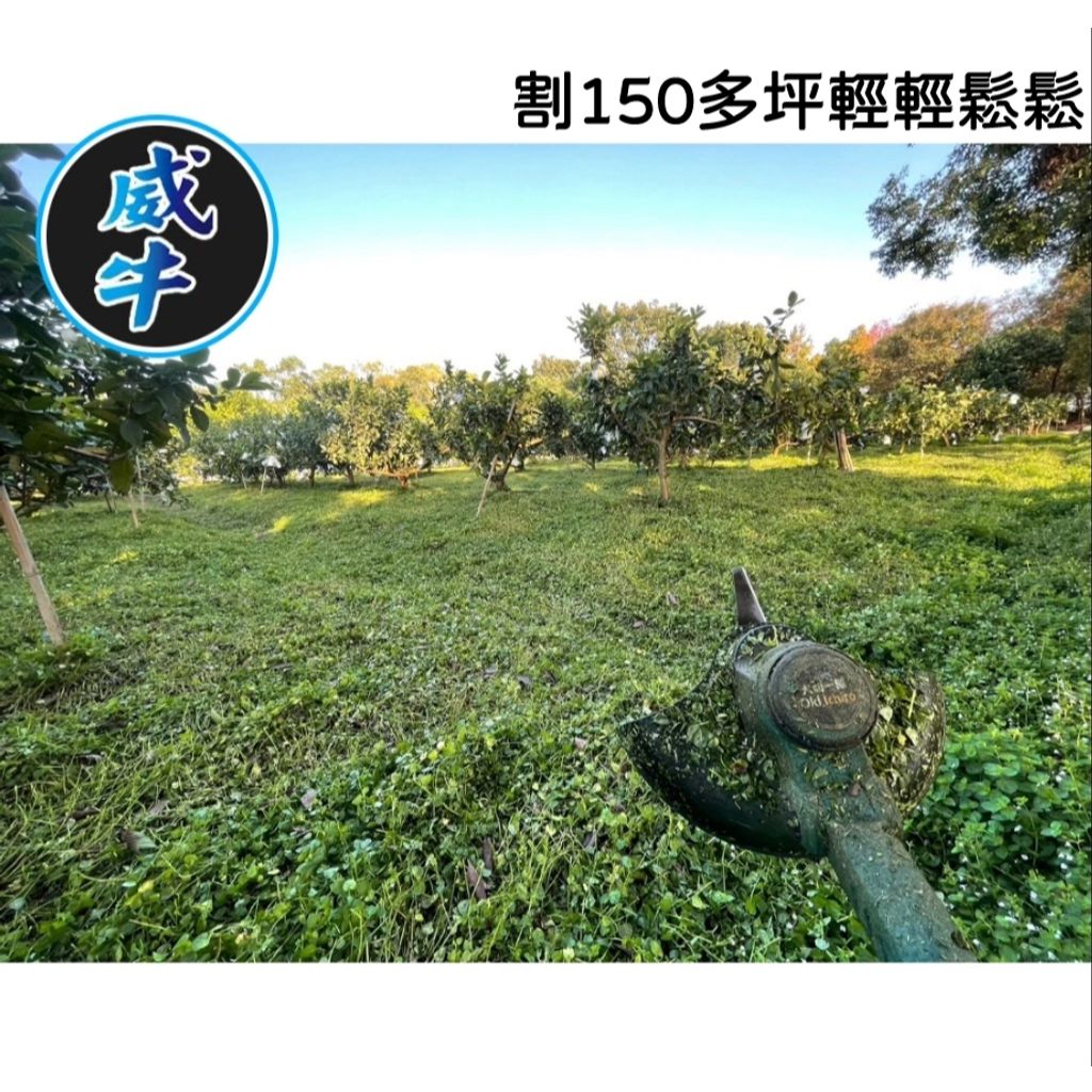 tw-11134207-7rbk2-ma99m74ftliob3