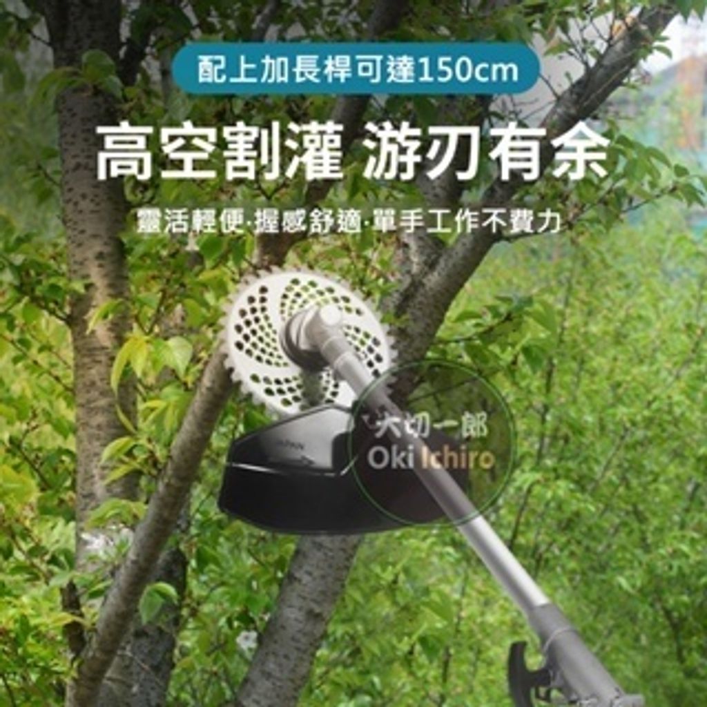 tw-11134207-7rash-m15215vsz3c788