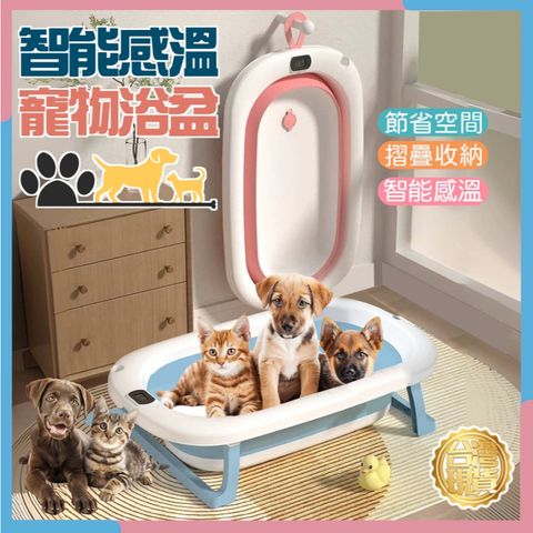 tw-11134207-7rask-m3x5lguv1gtp58