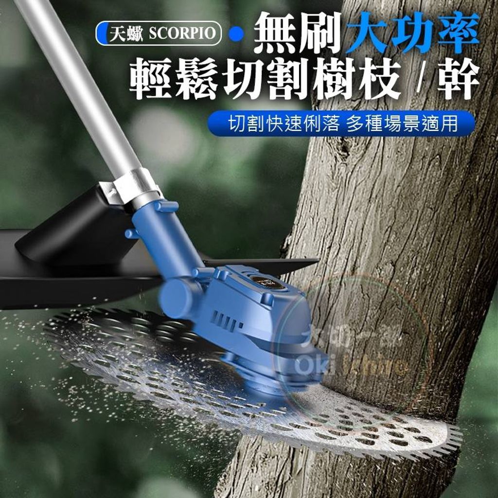 tw-11134207-7r98o-lkl10tvj7kjj13