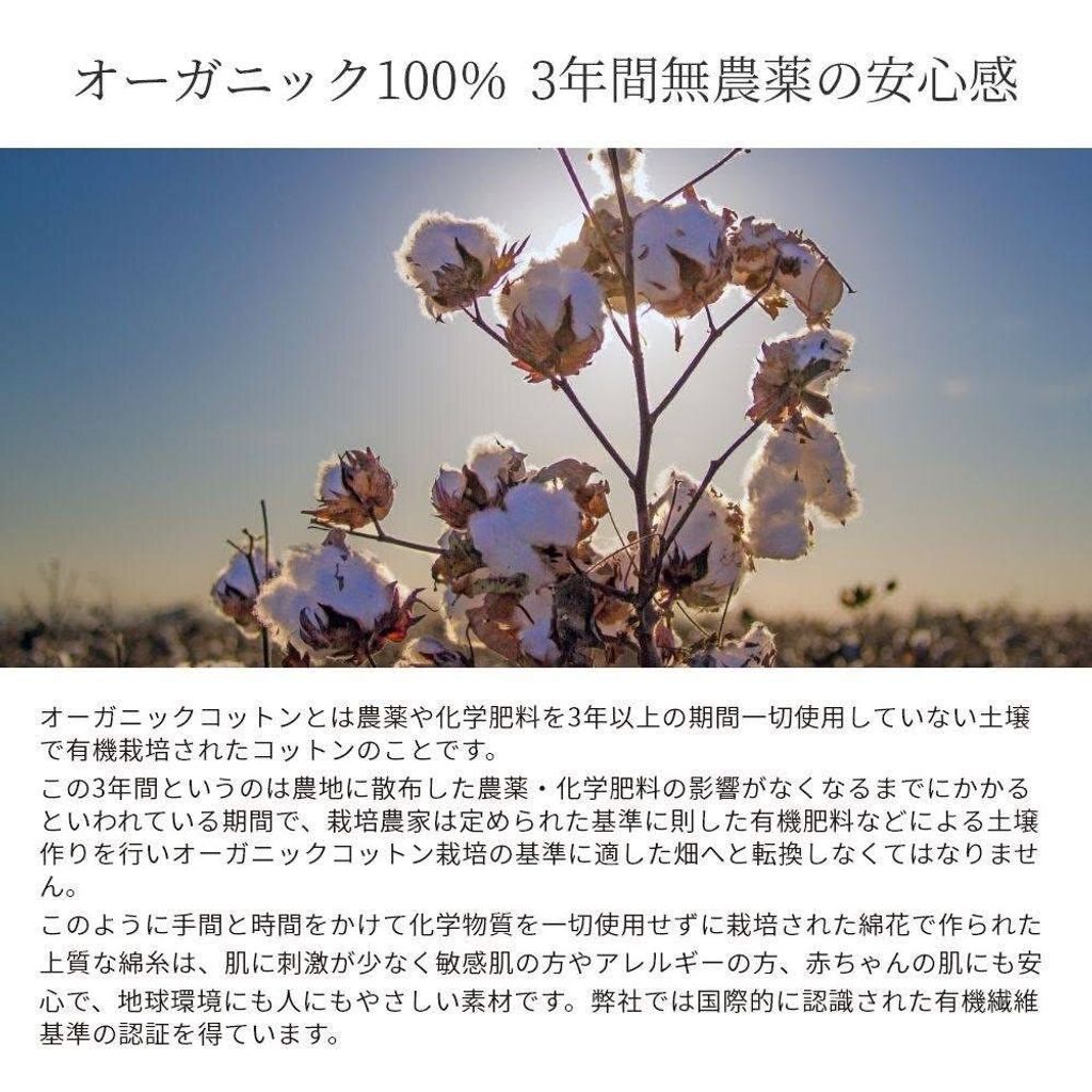 571107534_4399669067020337_6210721524361161961_n