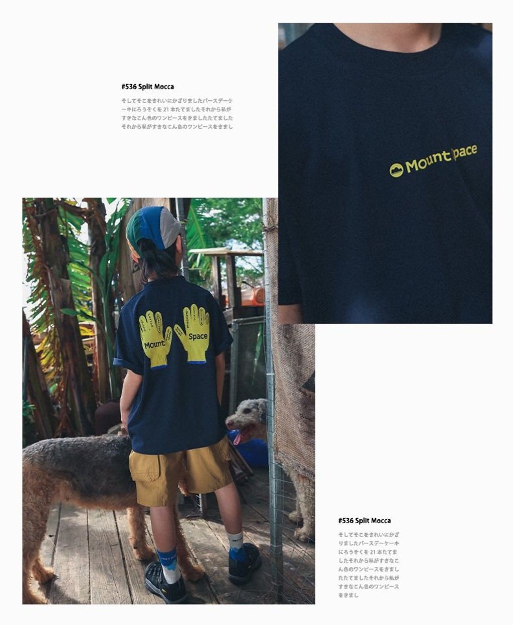 641505923_1337558908389734_4641485159309786974_n